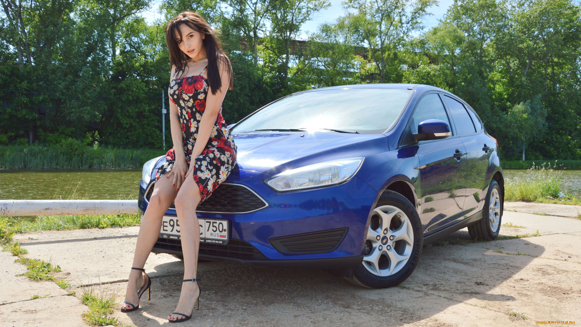 , -  , ford, focus, hatchback